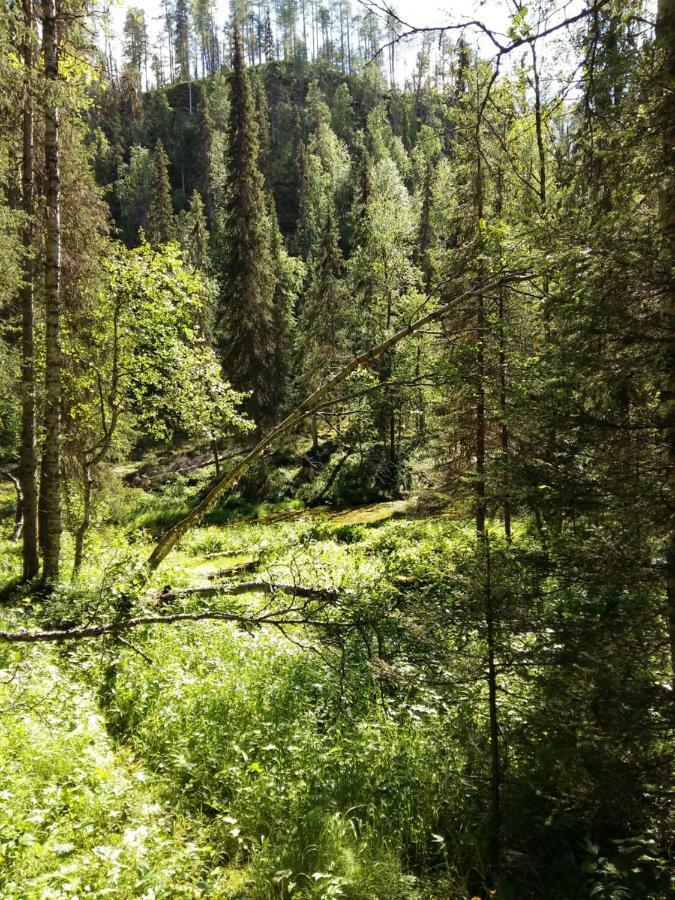 Salmikankaankelo C4 Ruka Buitenkant foto